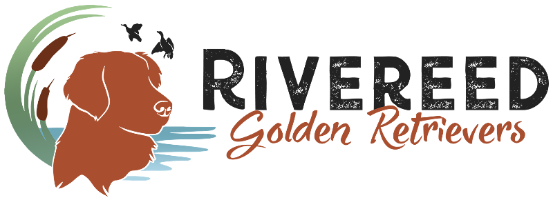 Rivereed Goldens